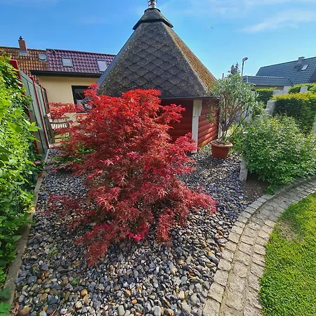 Saupe * 샤프로데